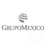 Grupo-Mexico